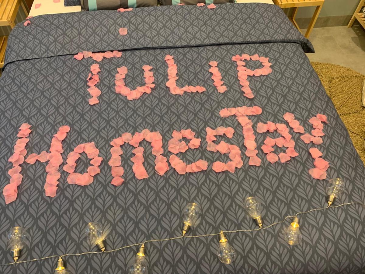 ها لونغ Tulip Homestay المظهر الخارجي الصورة